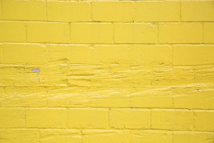 李斯丹妮个人资料简介：从音乐才女到影视新星的成长之路