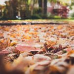 本圣女摊牌了漫画下载:揭示隐藏剧情与角色关系的精彩之旅 4ye4bt