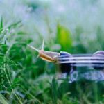 深入解析:navy blue颜色的定义与应用 6hmqdefl