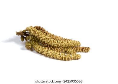 樱花动漫imomoe官方网站入口：畅享最新动漫资源与精彩内容的最佳平台