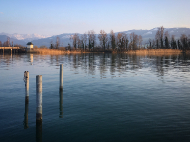 本圣女摊牌了奇满屋：揭开隐藏在奇幻世界中的秘密与真相