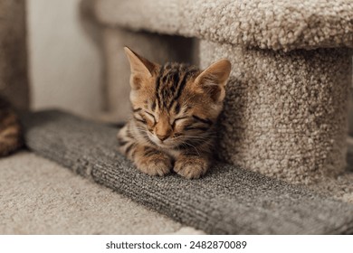 水冰月：探索她的漫画世界与成长历程