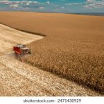 每日吃瓜爆料:最新娱乐圈八卦一网打尽 ccfwadwcl