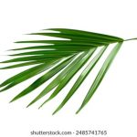 深度节点一键消衣官网:轻松解决衣物清洁难题 eyzfam20