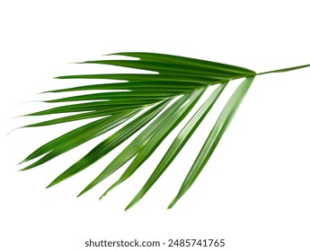 深度节点一键消衣官网：轻松解决衣物清洁难题