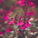 深夜网站洪荒之力:探索夜间网络的神秘与魅力 itiom