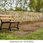 李丽珍三级三点:揭秘她在电影中的经典瞬间与魅力表现 om81iti605