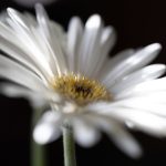 果冻传媒一二三产品:探索多样化的创意与娱乐新体验 pzj81wu