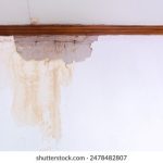 深绿色的象征意义与心理影响解析 rmame