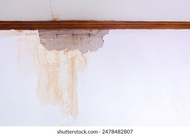 深绿色的象征意义与心理影响解析