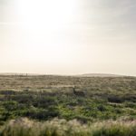 深入解析:SBN的含义及其在不同领域的应用 twxk4