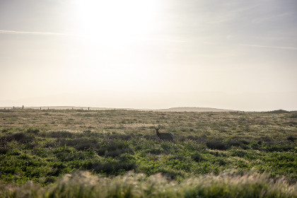 深入解析：SBN的含义及其在不同领域的应用