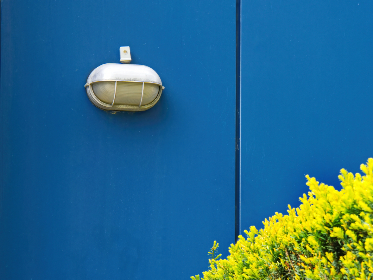 水果派官方官网：探索新鲜美味，尽享健康水果派的乐趣