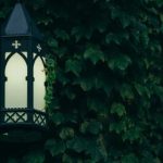 深入解析:什么叫背立式及其应用场景 x3weaho