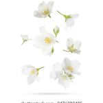 畅享精彩电影:免费在线观看平台推荐与指南 1ans7ckox