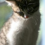 畅享福利导航优惠券,轻松获取超值折扣信息 6lke1b2ipu