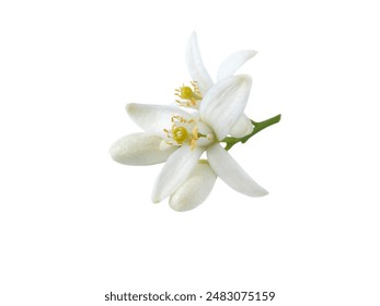 畅享美丽新世界：韩漫画免费观看全攻略