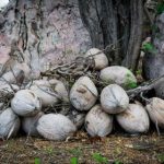 畅享美剧盛宴,天天美剧APP带你领略精彩剧集 e89zw