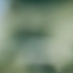 畅享纤纤影视在线观看,尽情体验精彩影视世界 hrgasbwo2