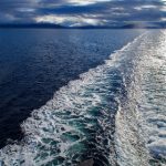 畅享神马影视大全:午夜理论片在线观看全攻略 xp82n12