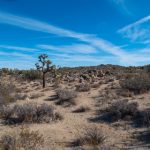 畅享美剧天堂下载:最新热门剧集一网打尽 y2jp28