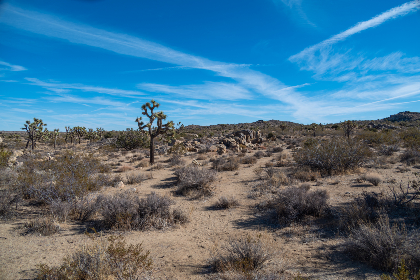 畅享美剧天堂下载：最新热门剧集一网打尽